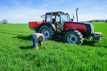 Landwirt überprüft  Getreideentwicklung