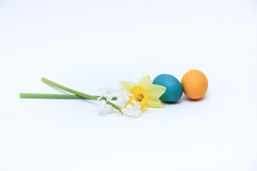 easter eggs isolated on white