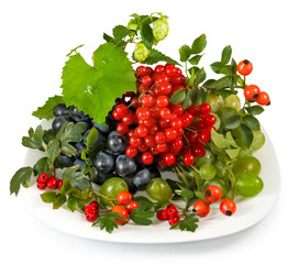 Image of different berries on a white background