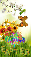 easter eggs in the grass and butterfly close-up