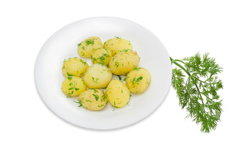 Boiled young potatoes with butter and dill, sprig of dill