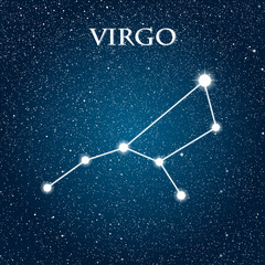 Obraz na płótnie Canvas Vector astrological element. Zodiac signs.