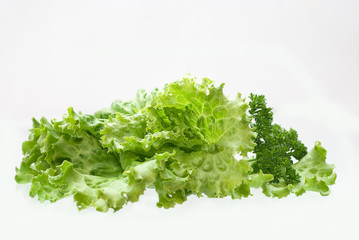 Fresh salad, parsley, dill isolated on white background.