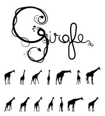Girafes