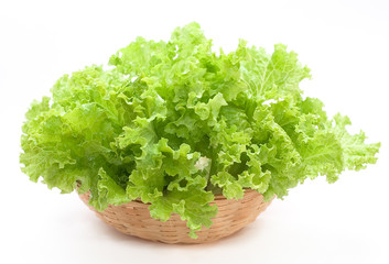Fresh lettuce isolated on white background