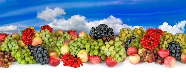 Panele Szklane Podświetlane  obraz wiele owoców i jagód w ogrodzie z bliska