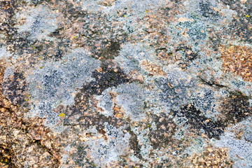 Stone surface texture, grunge stone wall background.