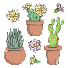 Set van vector gekleurde cactus met bloemen in oude potten.