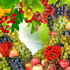 Panele Szklane  obraz wielu owoców i jagód zbliżenia