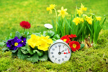 Zeitumstellung, Sommerzeit, Wecker, Uhr,  Blumen, Frühlingsblumen, Copyspace