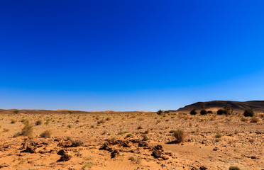 Sahara desert in Morocco