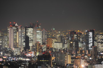 Fototapeta na wymiar 東京夜景