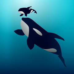 Obraz na płótnie Canvas Orca whale