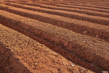 ploughed farmland