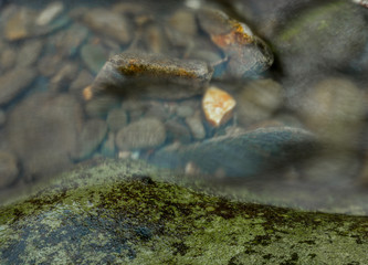 Creek Water Flowing Over Stones