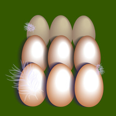 группа из 9 яиц на зеленом фоне