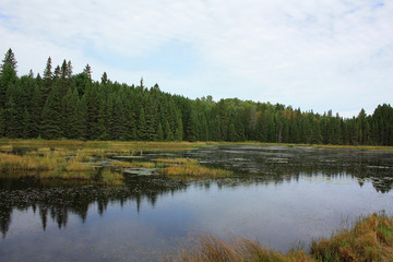 Fototapeta na wymiar Landschaft Kanada