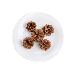 Dried pine cones on a white plate.