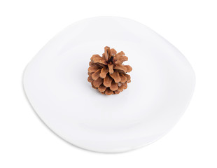 One pine cone on a white plate.