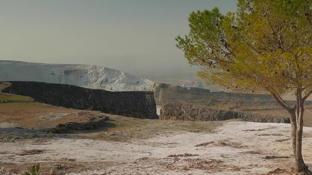Zooming a pine tree with an ancient wall and travertines in a distance, Pamukkale, Turkey. 4k
