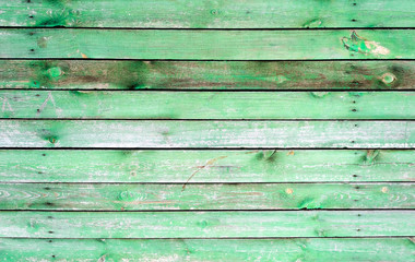 Green old painted wooden door texture as background