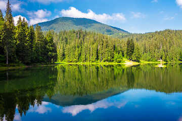 Fototapeta na wymiar lake among the forest in mountains