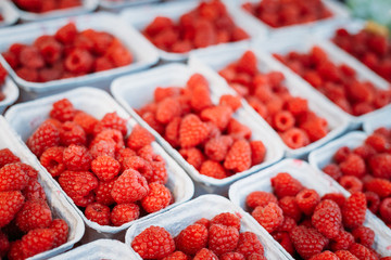 Assortment Of Fresh Yummy Organic Red Berries Raspberries At Mar