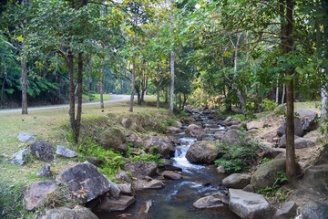 Way to Waterfall near Chiang Rai Thailand