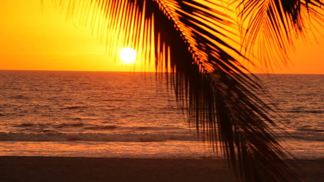 Woman walks along tropical beach at sunset