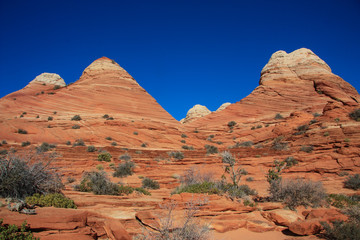 North Coyote Buttes