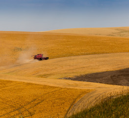 Obraz premium North Eastern Washington Farm at Harvest time