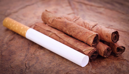 Filter cigarette on dry tobacco