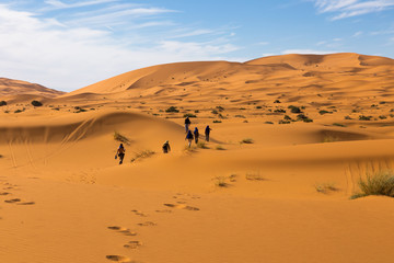 Fototapeta na wymiar people walk of the desert