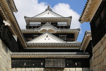 Fototapeta premium 早春の松山城