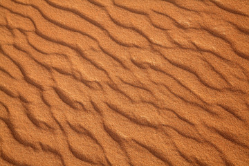 Red sand desert