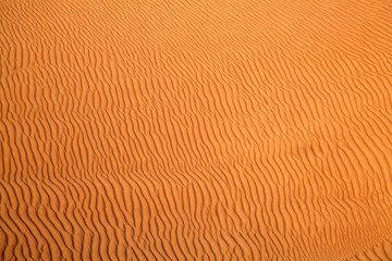 Red sand desert