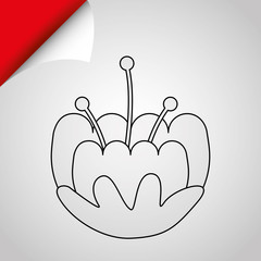 floral ornament design 