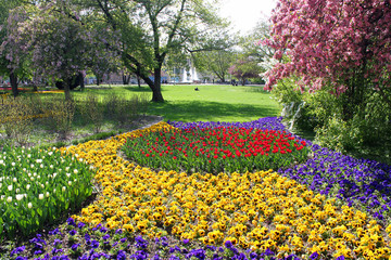 Obraz premium flower spring blooming blossom nature park