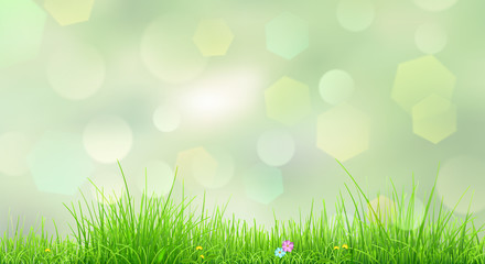 Fototapeta na wymiar Spring background with green grass