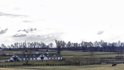 February 22, 2016: Horse farm in Lexington, Kentucky