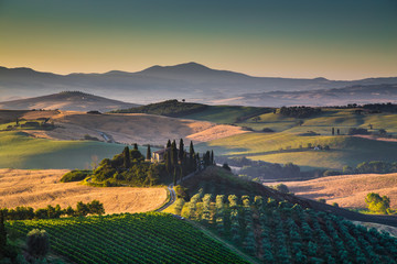 Obraz premium Scenic Tuscany landscape at sunrise, Val d'Orcia, Italy