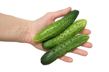 fresh green cucumbers