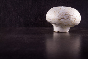 Champignon mushroom on dark background 