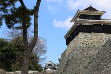 Fototapeta na wymiar 早春の松山城