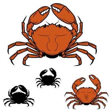 Set of the crabs icons in vector