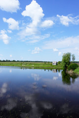 Spring landscape with pond 