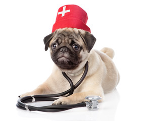 Pug puppy dog wearing nurses medical hat and stethoscope on his