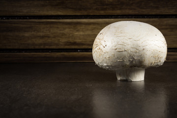 Champignon mushroom on dark background 