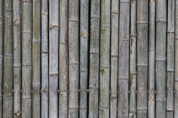 bamboo fence background