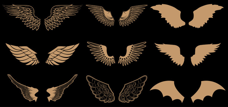 Set of wings in vector. Gold style vector wings. Wings icons. Wings logo. Vector design element.
